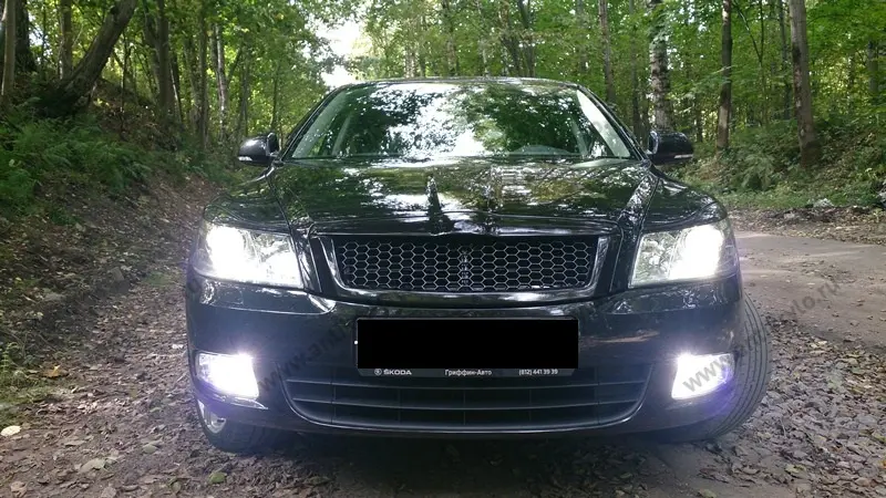 Защита радиатора Skoda Octavia A5 (Шкода Октавия A5) низ хром