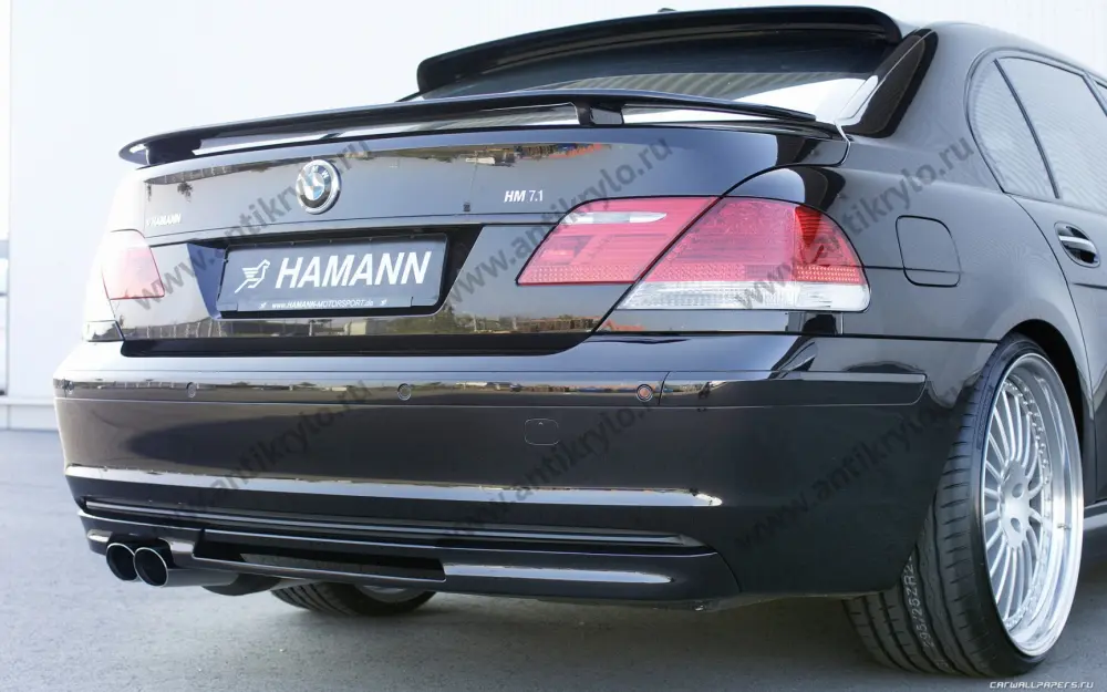     Hamann BMW E65   6566      