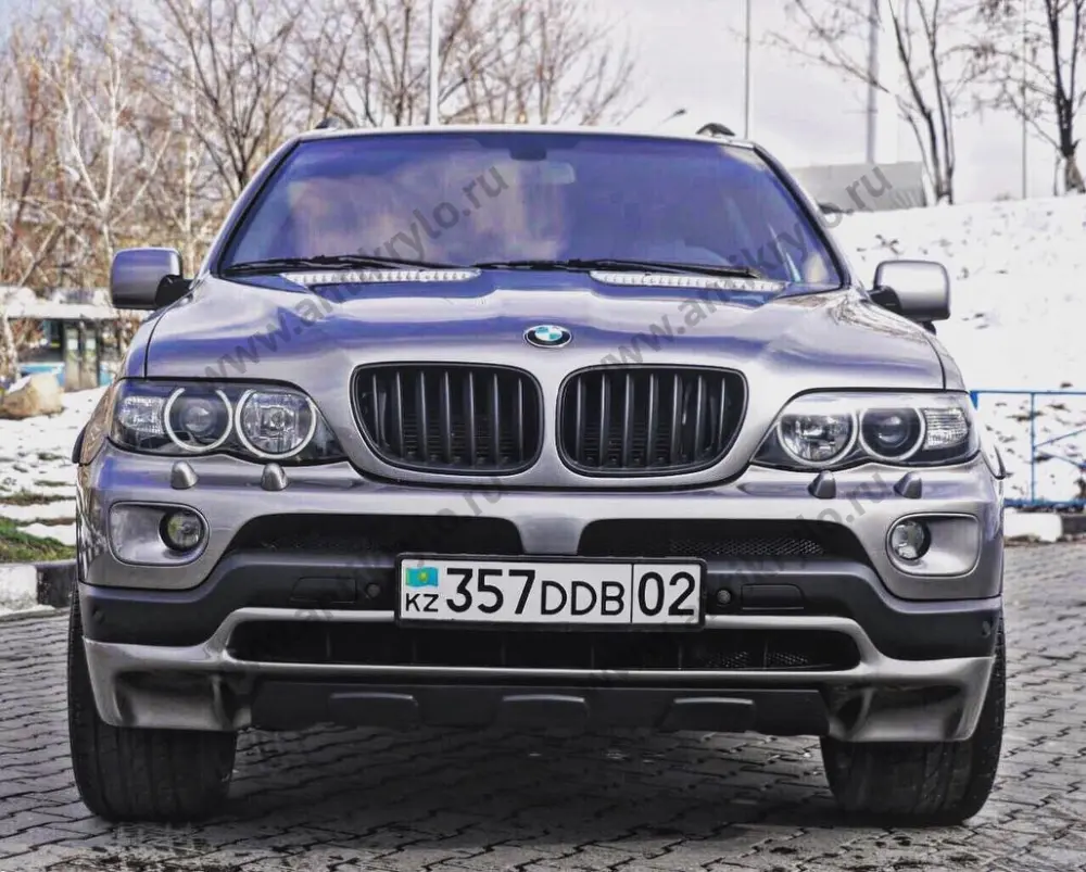 Накладка - имитация защиты bmw X5 e53 рест  до рест (Бмв х5 е53) купить с  доставкой по России