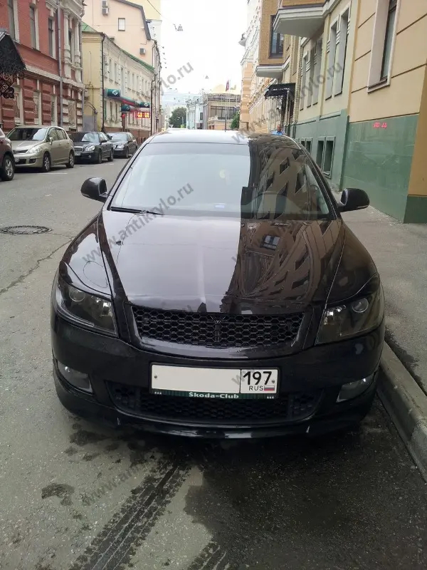 Защита радиатора SKODA Oktavia А5 2008-2013