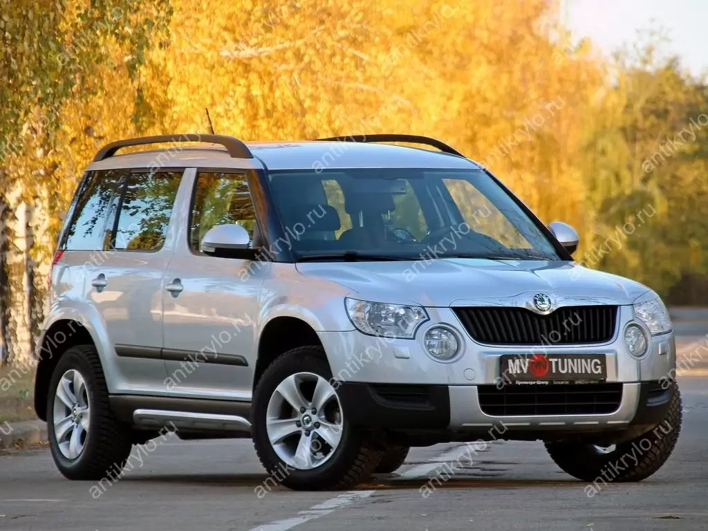 Накладки на пороги Алюминиевый Вид (Взгляд) Skoda Yeti (2009 - н.в.)  окрашенный комплект в серебро (шкода йети) купить с доставкой по России