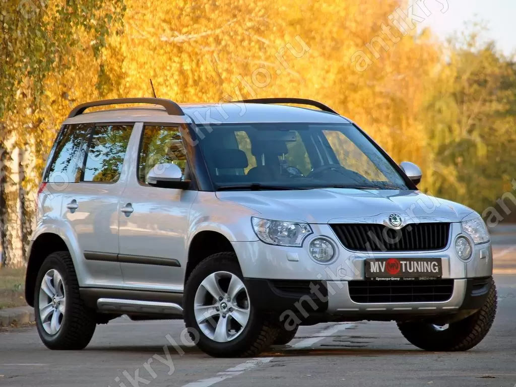 Накладки на пороги Алюминиевый Вид (Взгляд) Skoda Yeti (2009 - н.в.) не  крашенный комплект (шкода йети) купить с доставкой по России